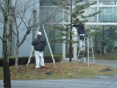 j2015.12.19 1.jpg